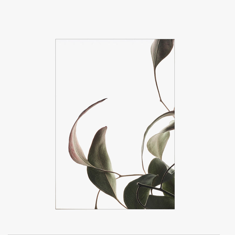 Floating Leaves No.08 | A3 Print