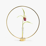 GLORIA Candlestick/Vase (L)
