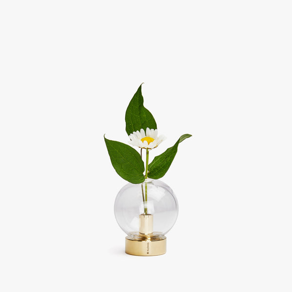 ORBIS Vase